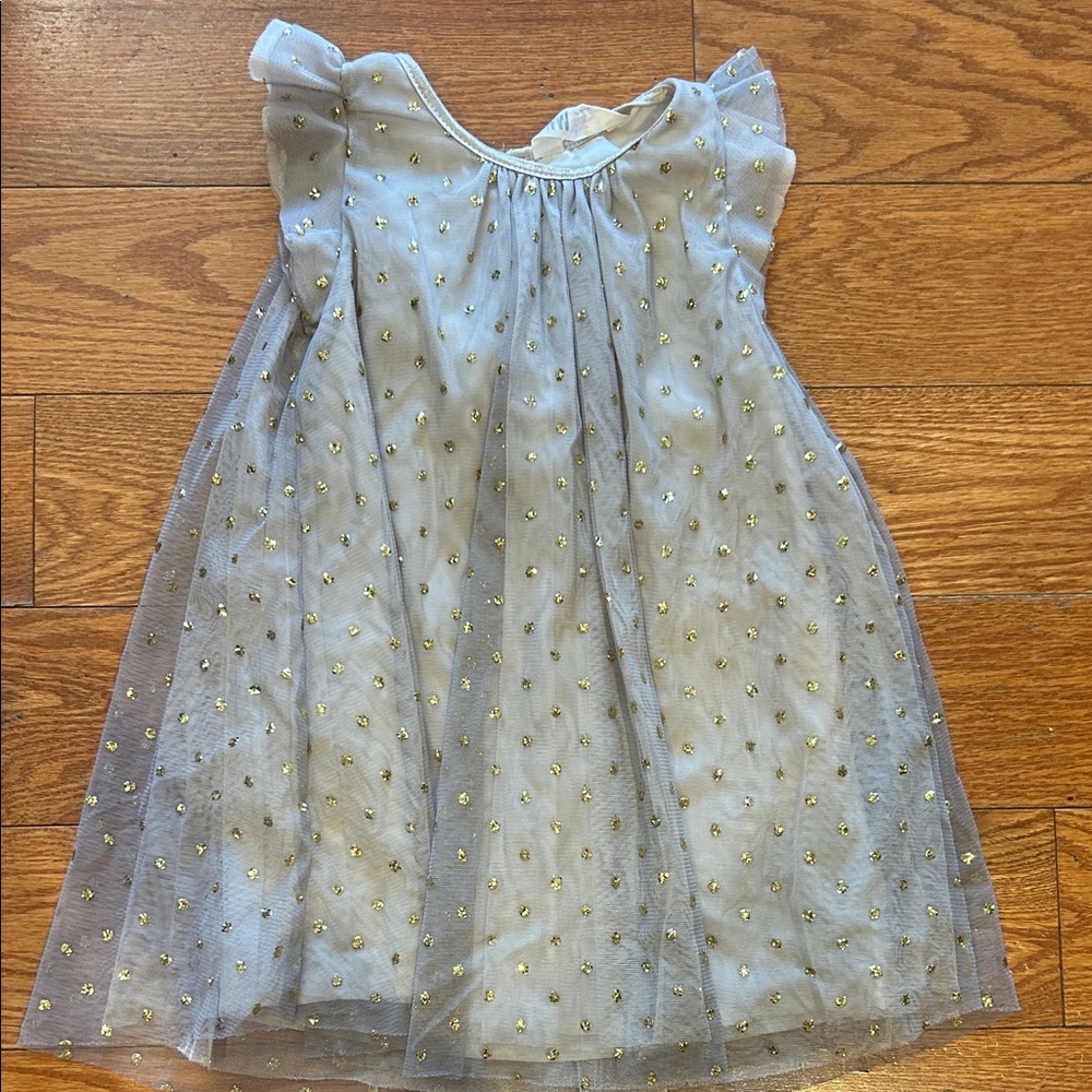 H&M Silver and Gold Dress